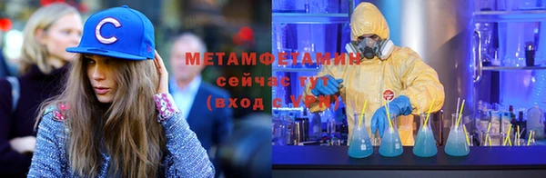 шишки Инсар