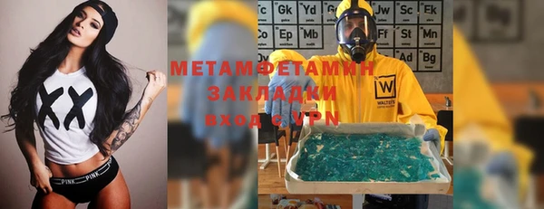 шишки Инсар