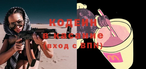 шишки Инсар