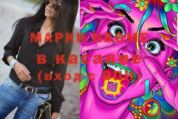 шишки Инсар