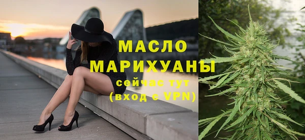 шишки Инсар