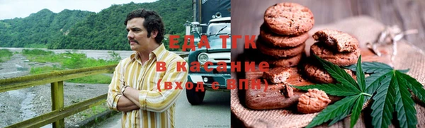 шишки Инсар
